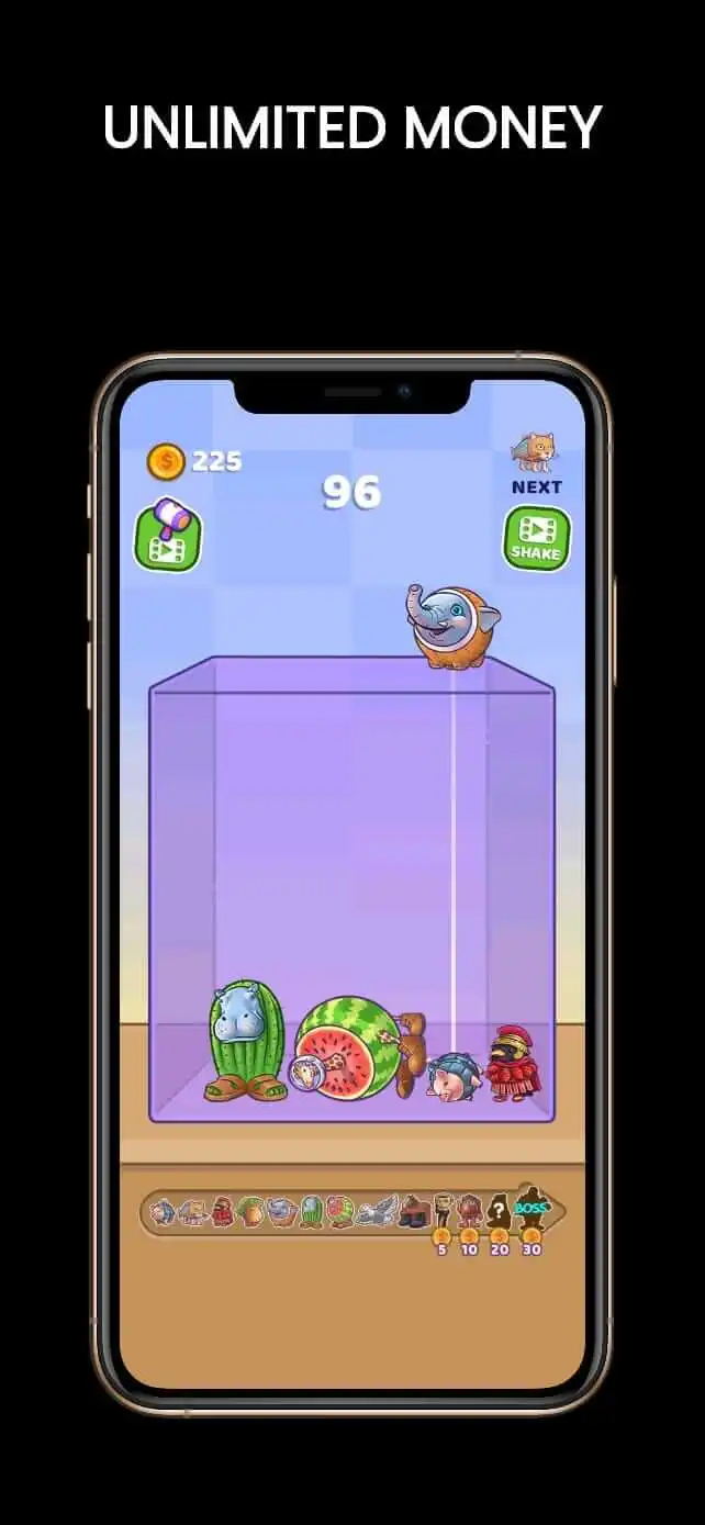 unlimited money